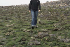 IMG_1958