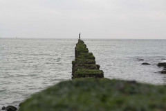 IMG_1988