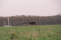 IMG_0555