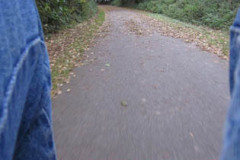 IMG_1100