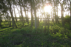 IMG_8571