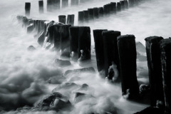 MG_9292-2