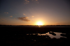 MG_9478