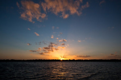 MG_9511