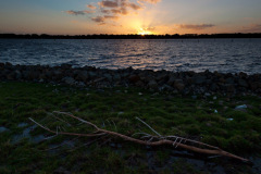 MG_9515