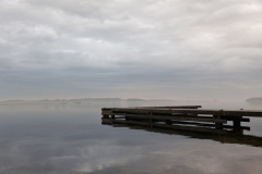 MG_9579
