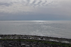 MG_9756