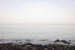 MG_9775