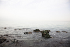 MG_9782