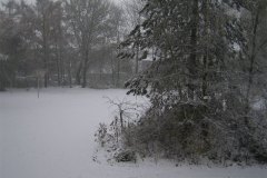 IMG_5246-01