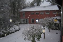 IMG_5248-01