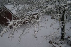 IMG_5249-01