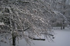 IMG_5250-01