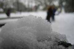 IMG_5268-01