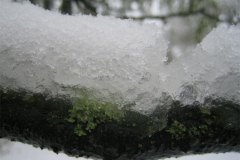 IMG_5269-01