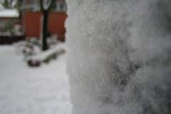 IMG_5271-01