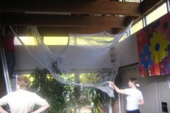 IMG_4582-01