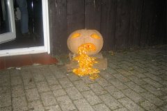 IMG_4598-01