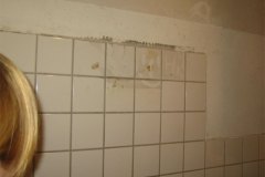 IMG_4054-01
