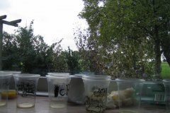 IMG_4098-01
