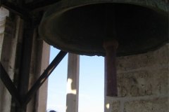 IMG_1467-01