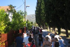 IMG_1523-01