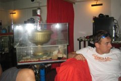 IMG_1601-01