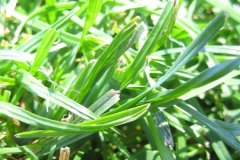 IMG_1652-01