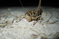 IMG_1709-01