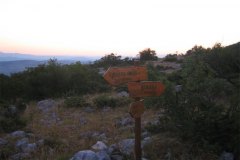 IMG_1766-01
