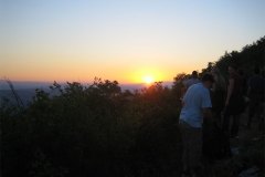 IMG_1768-01