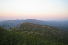IMG_1770-01