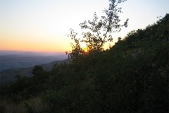 IMG_1772-01
