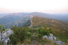 IMG_1774-01