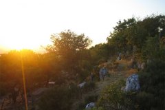 IMG_1789-01