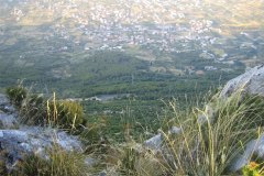 IMG_1815-01