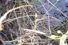 IMG_1823-01