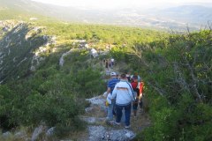 IMG_1833-01