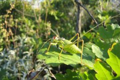 IMG_1843-01