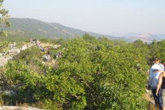 IMG_1847-01