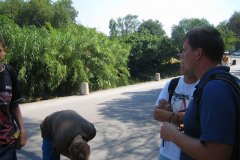 IMG_1903-01