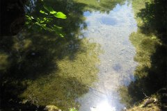 IMG_1907-01