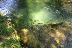 IMG_1908-01