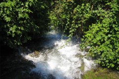 IMG_1910-01