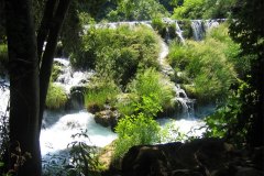 IMG_1913-01