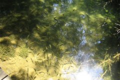 IMG_1931-01