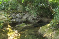 IMG_1932-01