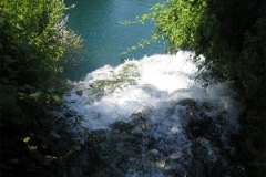 IMG_1936-01
