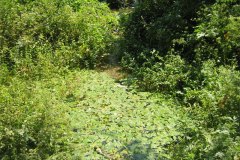 IMG_1940-01