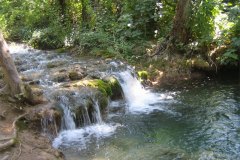 IMG_1942-01